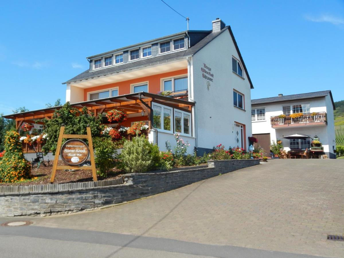 Ferienweinhaus Roemer-Knodt Kröv Dış mekan fotoğraf